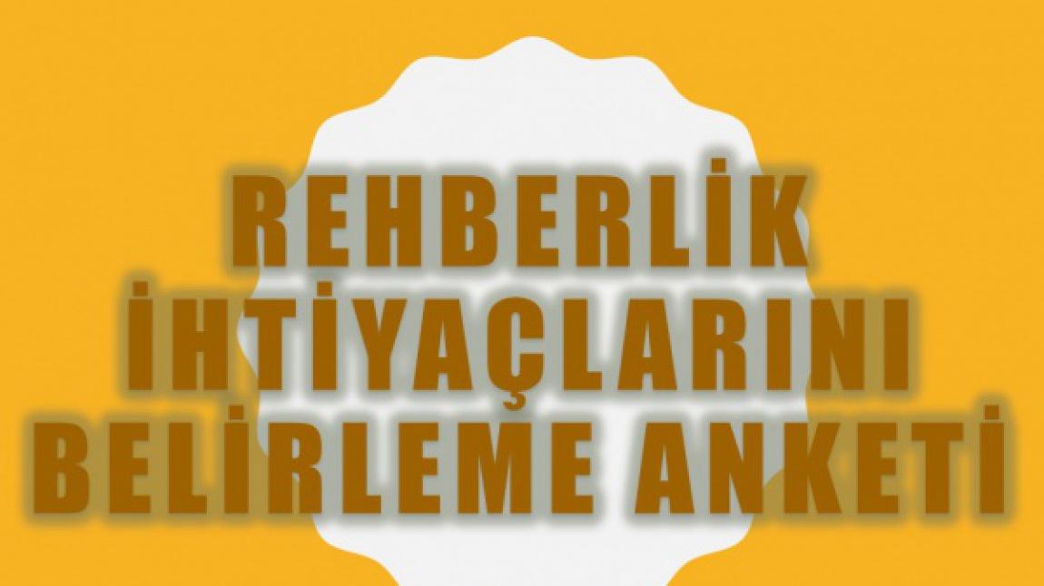 REHBERLİK İHTİYACI BELİRLEME ANKETLERİ (RİBA)